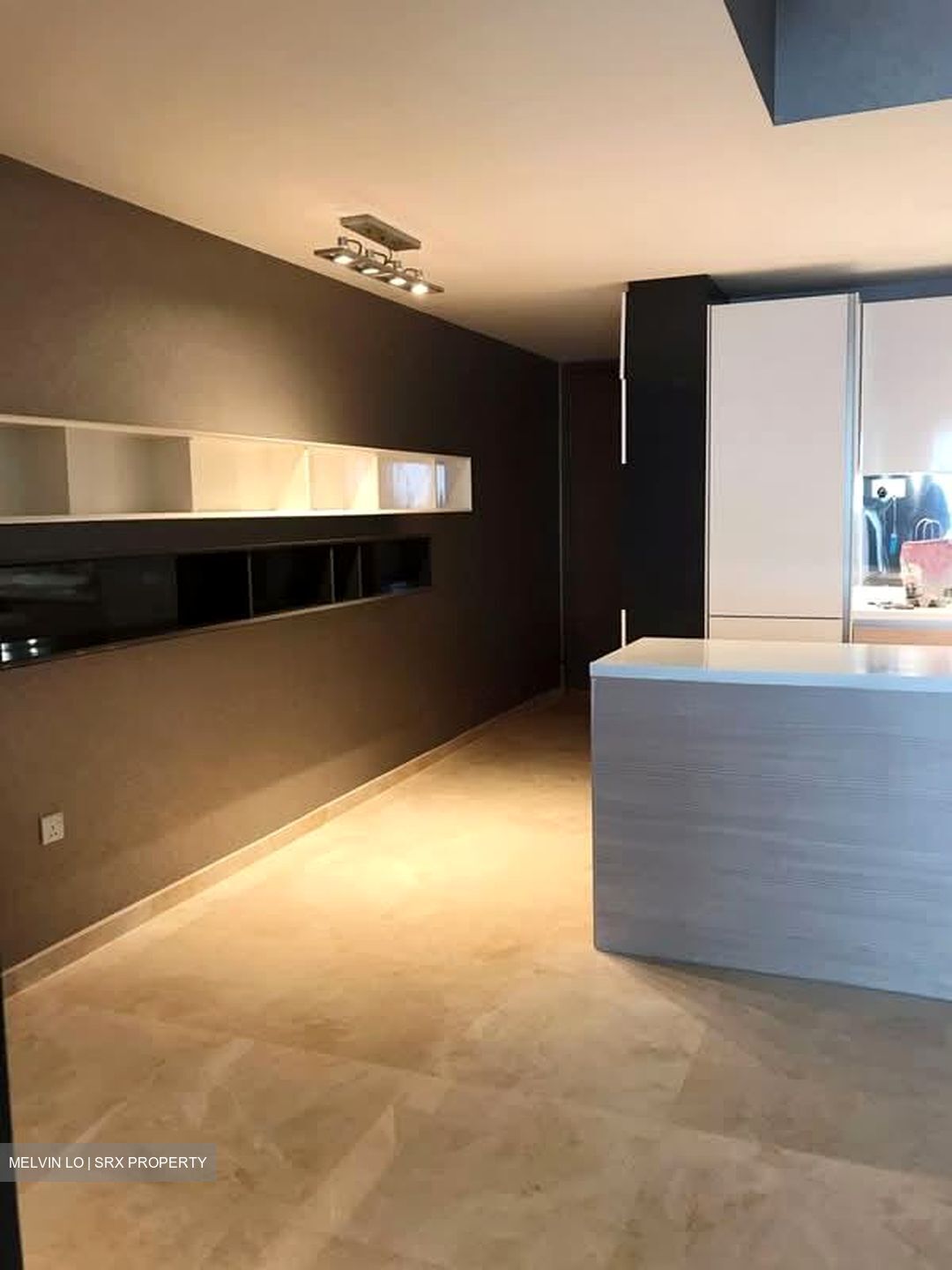 V On Shenton (D1), Apartment #547095831